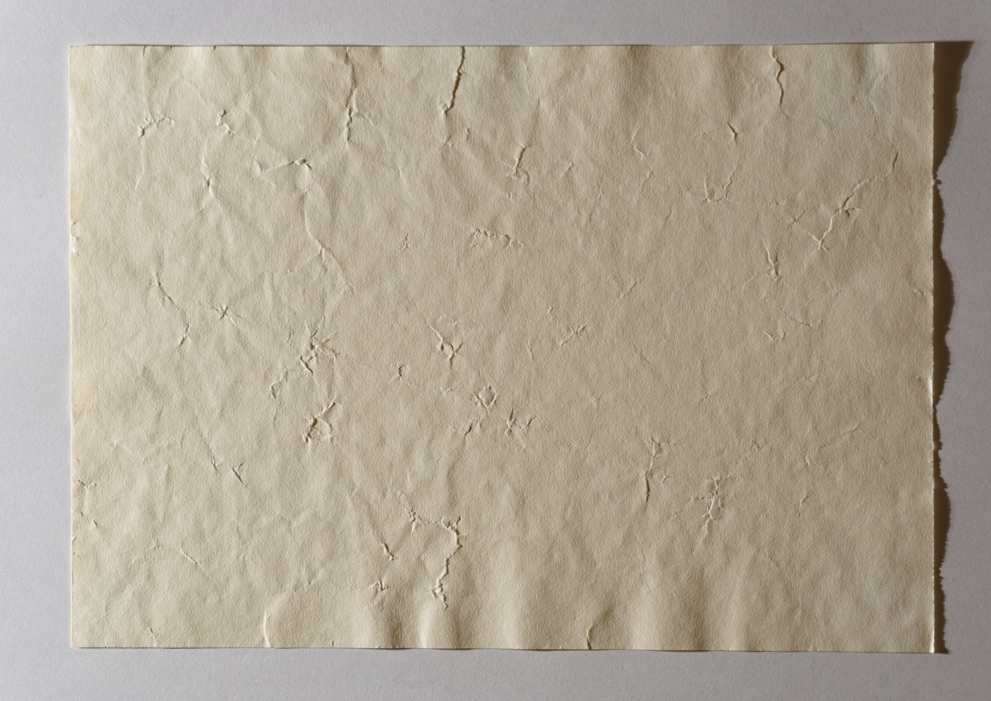 Apollo Beach by Robert Blatt, page 2, back