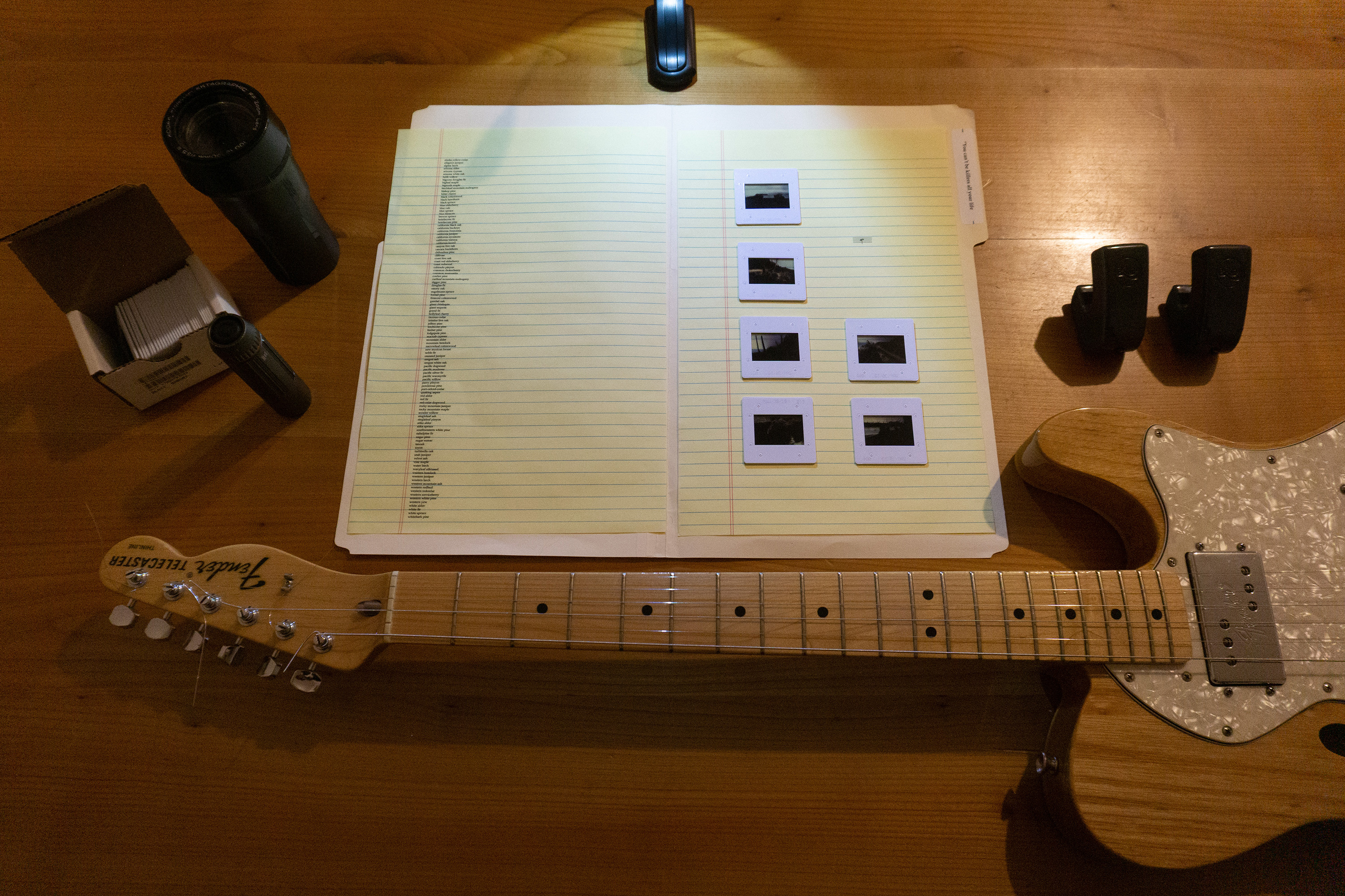 Landscape With Trees by Robert Blatt