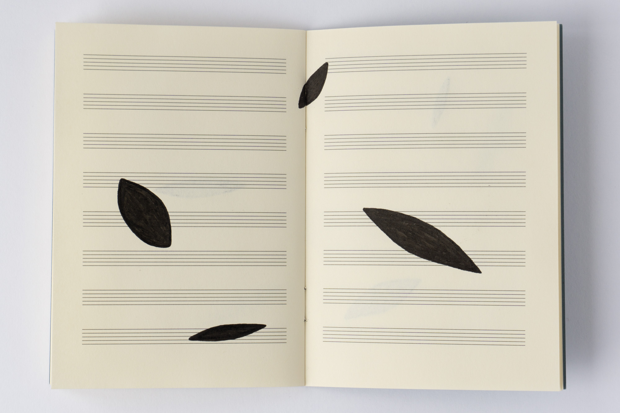 Negative Transcriptions by Robert Blatt