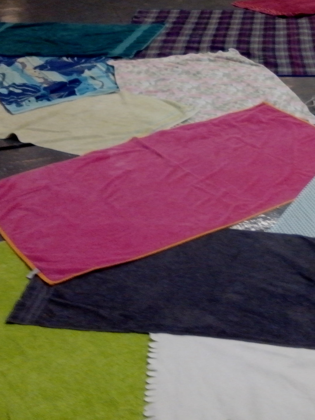 Recording Series (Beach Bums)