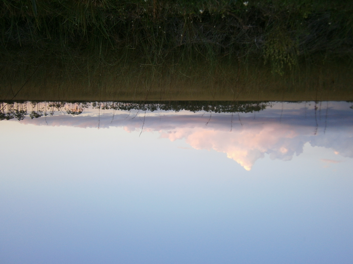 , the whole world a pictorial air. by Robert Blatt