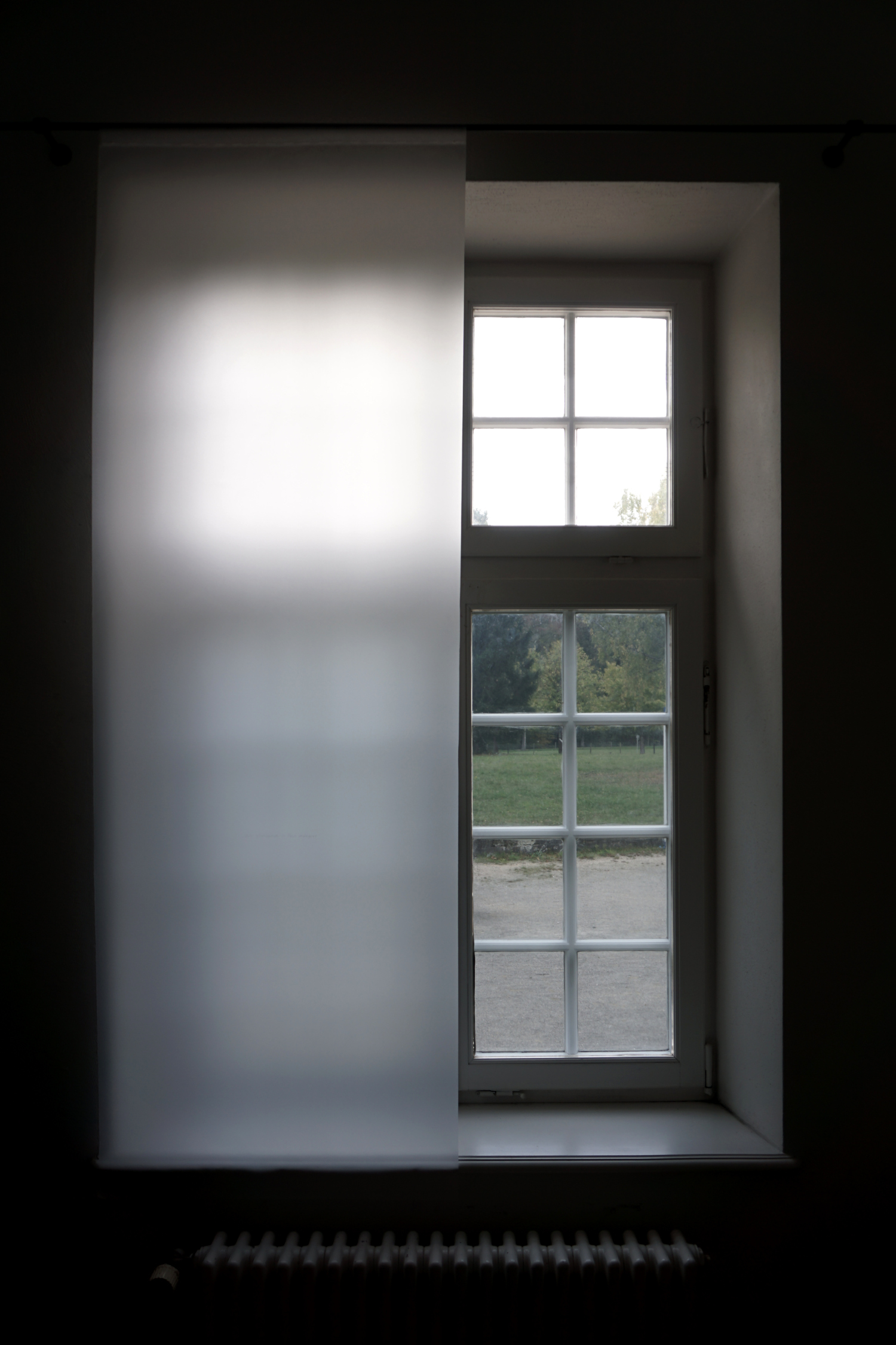 this phenomenon is thus analagous by Robert Blatt